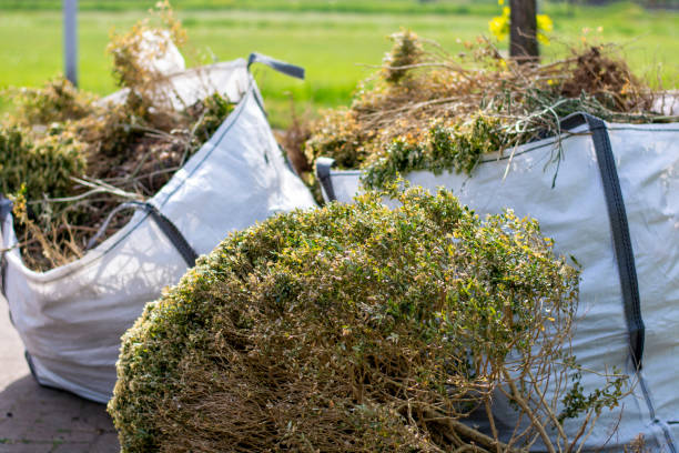  Sun Valley, NV Junk Removal Services Pros